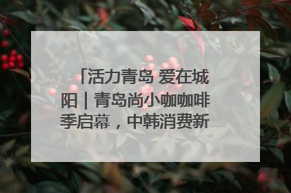 活力青岛 爱在城阳｜青岛尚小咖咖啡季启幕，中韩消费新场景点燃夏日热情