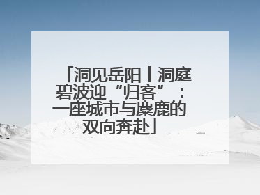 洞见岳阳丨洞庭碧波迎“归客”：一座城市与麋鹿的双向奔赴