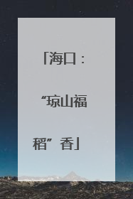 海口：“琼山福稻”香