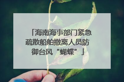 海南海事部门紧急疏散船舶撤离人员防御台风“蝴蝶”