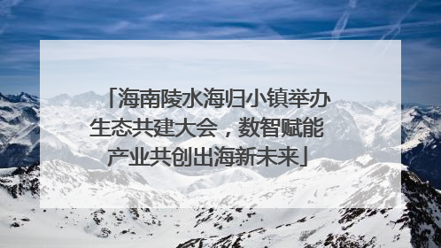 海南陵水海归小镇举办生态共建大会，数智赋能产业共创出海新未来