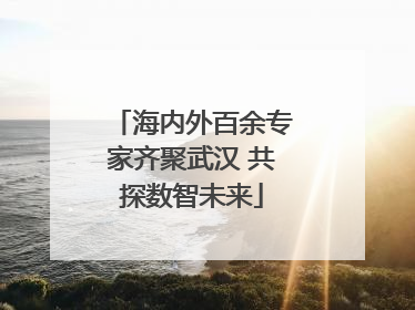 海内外百余专家齐聚武汉 共探数智未来