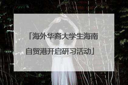 海外华裔大学生海南自贸港开启研习活动
