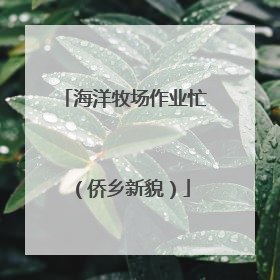 海洋牧场作业忙（侨乡新貌）