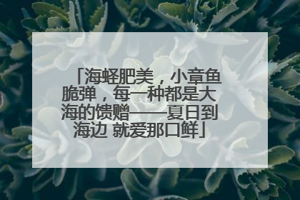 海蛏肥美，小章鱼脆弹，每一种都是大海的馈赠——夏日到海边 就爱那口鲜