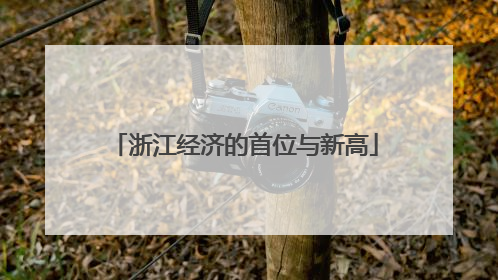浙江经济的首位与新高
