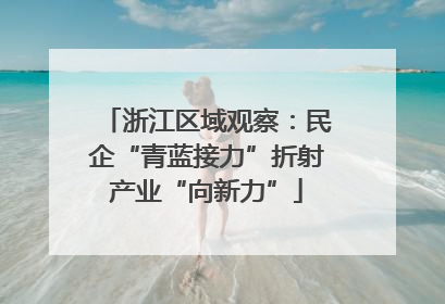 浙江区域观察：民企“青蓝接力”折射产业“向新力”