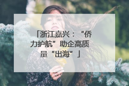 浙江嘉兴：“侨力护航”助企高质量“出海”