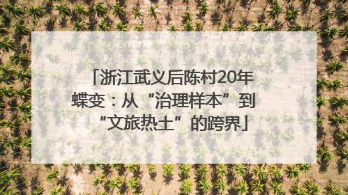 浙江武义后陈村20年蝶变：从“治理样本”到“文旅热土”的跨界