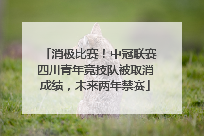 消极比赛！中冠联赛四川青年竞技队被取消成绩，未来两年禁赛