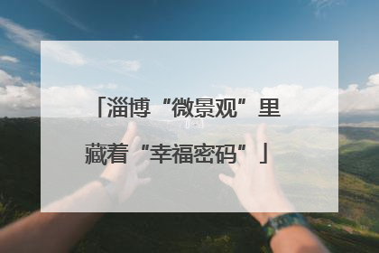 淄博“微景观”里藏着“幸福密码”