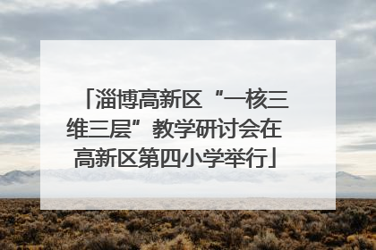 淄博高新区“一核三维三层”教学研讨会在高新区第四小学举行