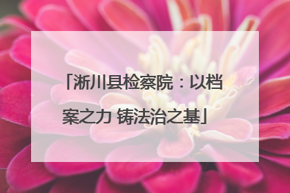 淅川县检察院：以档案之力 铸法治之基