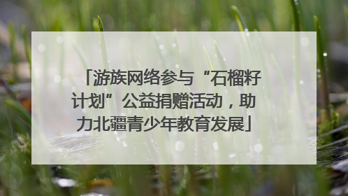 游族网络参与“石榴籽计划”公益捐赠活动，助力北疆青少年教育发展