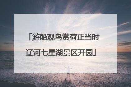 游船观鸟赏荷正当时 辽河七星湖景区开园