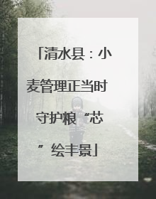 清水县：小麦管理正当时 守护粮“芯”绘丰景