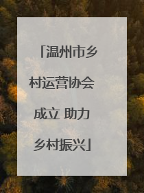 温州市乡村运营协会成立 助力乡村振兴
