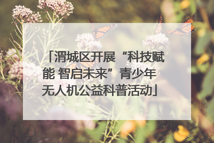渭城区开展“科技赋能 智启未来”青少年无人机公益科普活动