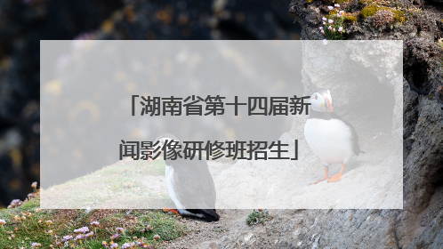湖南省第十四届新闻影像研修班招生