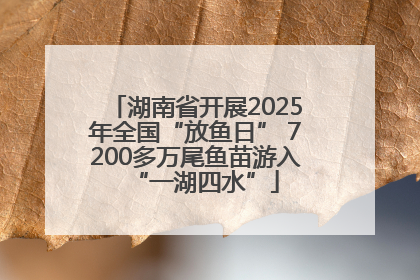 湖南省开展2025年全国“放鱼日” 7200多万尾鱼苗游入“一湖四水”