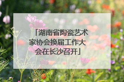 湖南省陶瓷艺术家协会换届工作大会在长沙召开