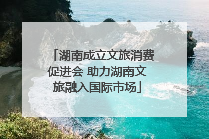 湖南成立文旅消费促进会 助力湖南文旅融入国际市场