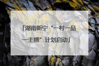 湖南新宁“一村一品一主播”计划启动