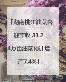 湖南桃江油菜喜迎丰收 31.24万亩油菜预计增产7.4%