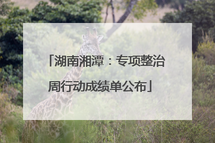 湖南湘潭：专项整治周行动成绩单公布