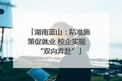湖南蓝山：精准施策促就业 校企实现“双向奔赴”