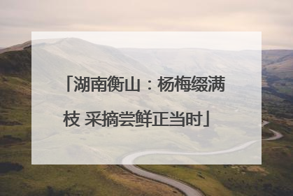 湖南衡山：杨梅缀满枝 采摘尝鲜正当时