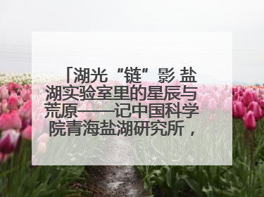 湖光“链”影 盐湖实验室里的星辰与荒原——记中国科学院青海盐湖研究所，盐湖资源化学实验室党总支书记、副主任刘忠