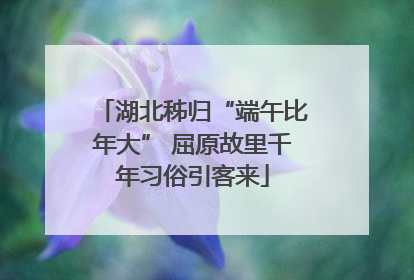 湖北秭归“端午比年大” 屈原故里千年习俗引客来