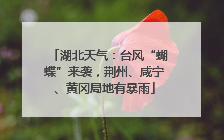 湖北天气：台风“蝴蝶”来袭，荆州、咸宁、黄冈局地有暴雨