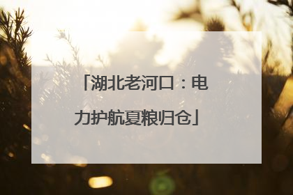 湖北老河口：电力护航夏粮归仓