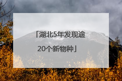 湖北5年发现逾20个新物种