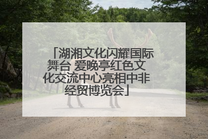 湖湘文化闪耀国际舞台 爱晚亭红色文化交流中心亮相中非经贸博览会