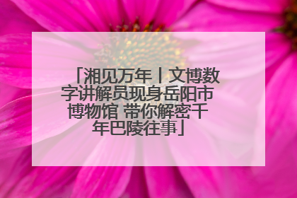 湘见万年丨文博数字讲解员现身岳阳市博物馆 带你解密千年巴陵往事