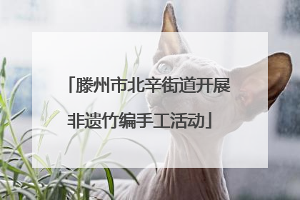 滕州市北辛街道开展非遗竹编手工活动