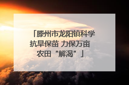 滕州市龙阳镇科学抗旱保苗 力保万亩农田“解渴”