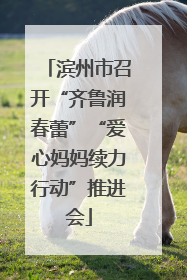 滨州市召开“齐鲁润春蕾”“爱心妈妈续力行动”推进会