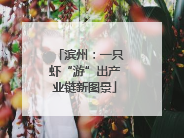 滨州：一只虾“游”出产业链新图景