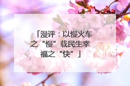漫评：以慢火车之“慢”载民生幸福之“快”