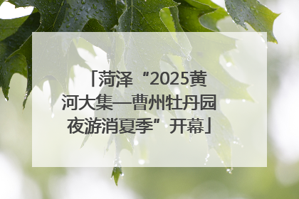 菏泽“2025黄河大集—曹州牡丹园夜游消夏季”开幕