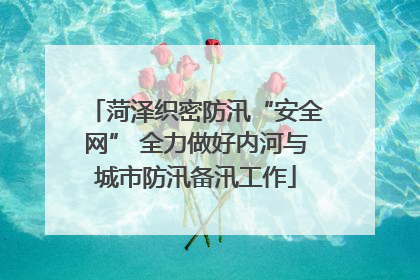 菏泽织密防汛“安全网” 全力做好内河与城市防汛备汛工作