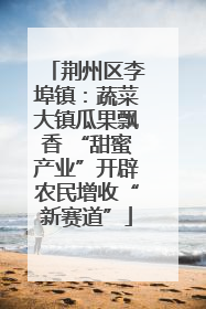 荆州区李埠镇：蔬菜大镇瓜果飘香 “甜蜜产业”开辟农民增收“新赛道”