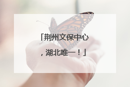 荆州文保中心，湖北唯一！