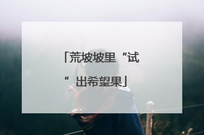 荒坡坡里“试”出希望果