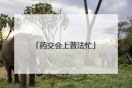 药交会上普法忙