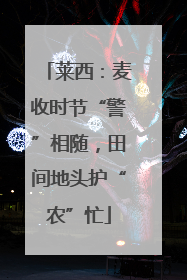 莱西：麦收时节“警”相随，田间地头护“农”忙